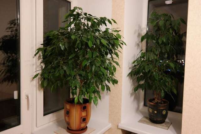 Апартаменты Apartment Gorkogo Гродно-37